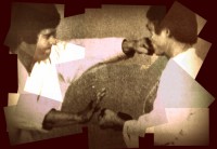 /album/tommaso-maurizio-santoro/a2-karate-5-jpg/